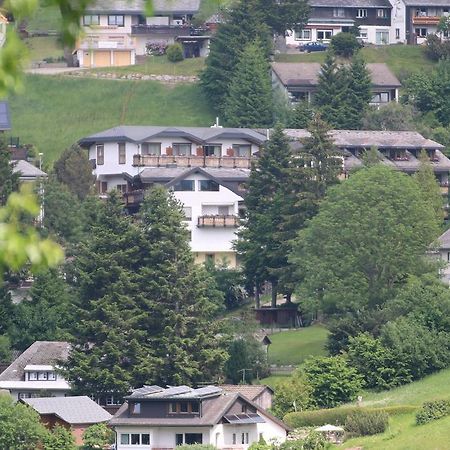 Todnauerberg Hotel Im Schwarzwald 토트나우베르크 외부 사진