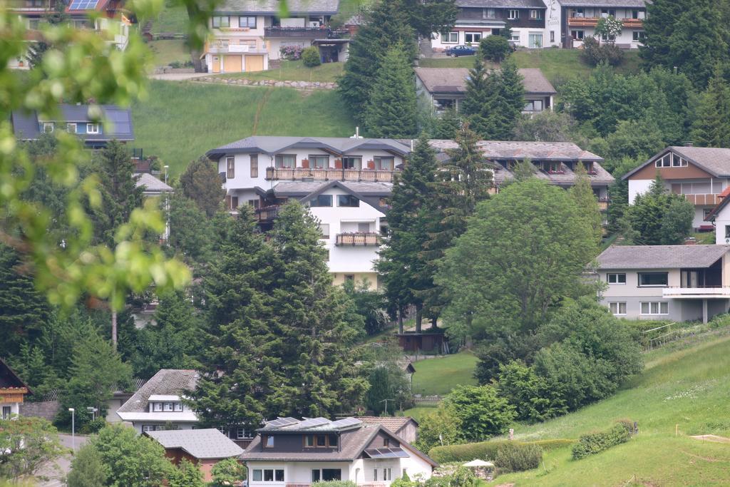Todnauerberg Hotel Im Schwarzwald 토트나우베르크 외부 사진