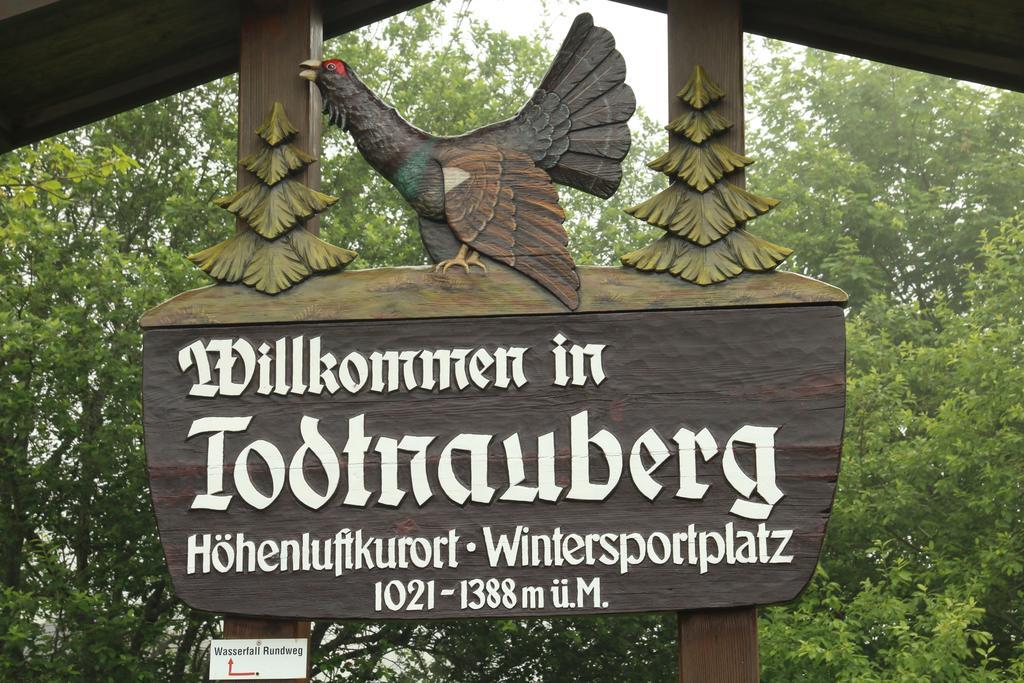 Todnauerberg Hotel Im Schwarzwald 토트나우베르크 외부 사진