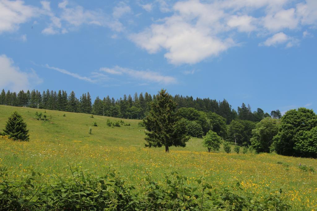 Todnauerberg Hotel Im Schwarzwald 토트나우베르크 외부 사진