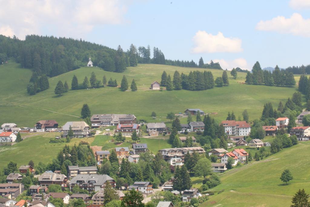Todnauerberg Hotel Im Schwarzwald 토트나우베르크 외부 사진
