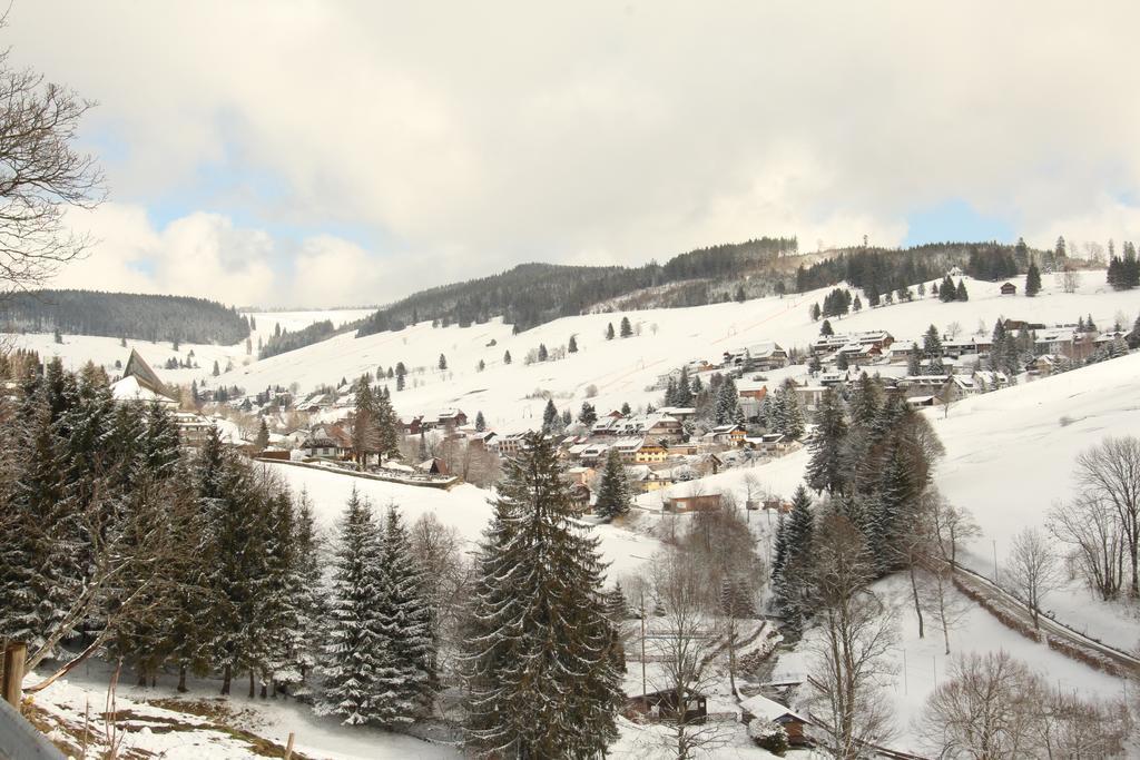 Todnauerberg Hotel Im Schwarzwald 토트나우베르크 외부 사진