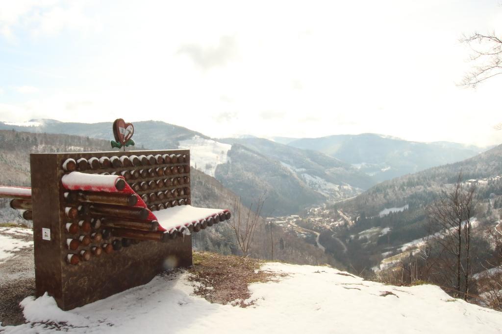 Todnauerberg Hotel Im Schwarzwald 토트나우베르크 외부 사진