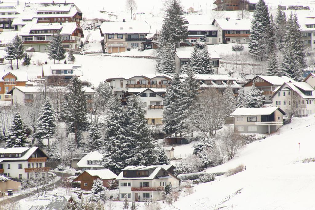 Todnauerberg Hotel Im Schwarzwald 토트나우베르크 외부 사진