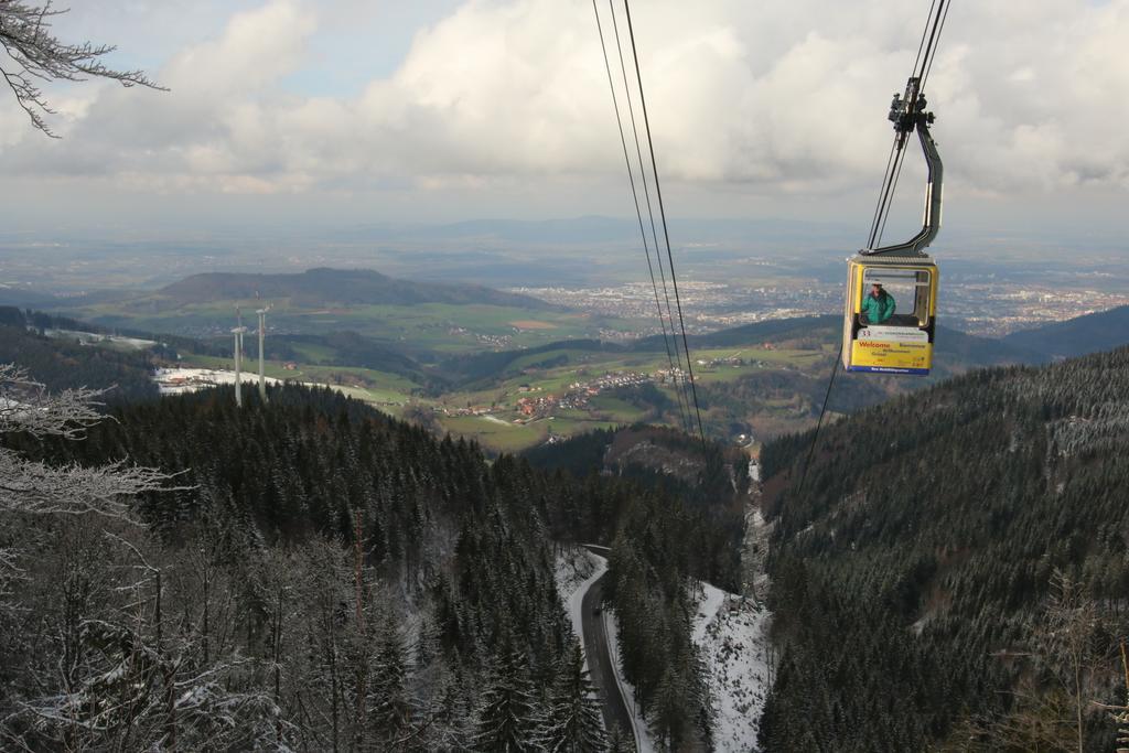 Todnauerberg Hotel Im Schwarzwald 토트나우베르크 외부 사진