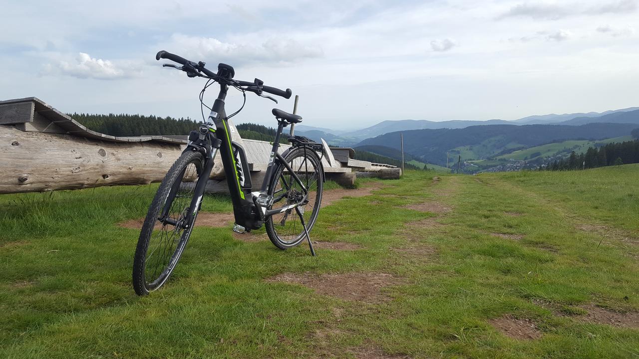 Todnauerberg Hotel Im Schwarzwald 토트나우베르크 외부 사진